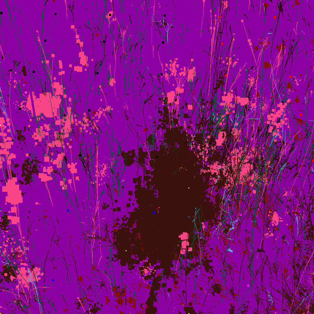 Infinite Garden: 10897 Flowers