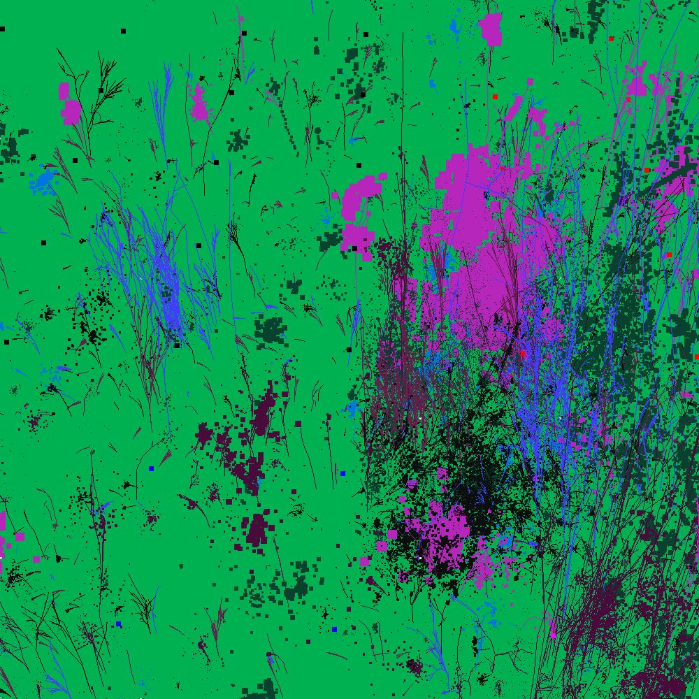 Infinite Garden: 11058 Flowers