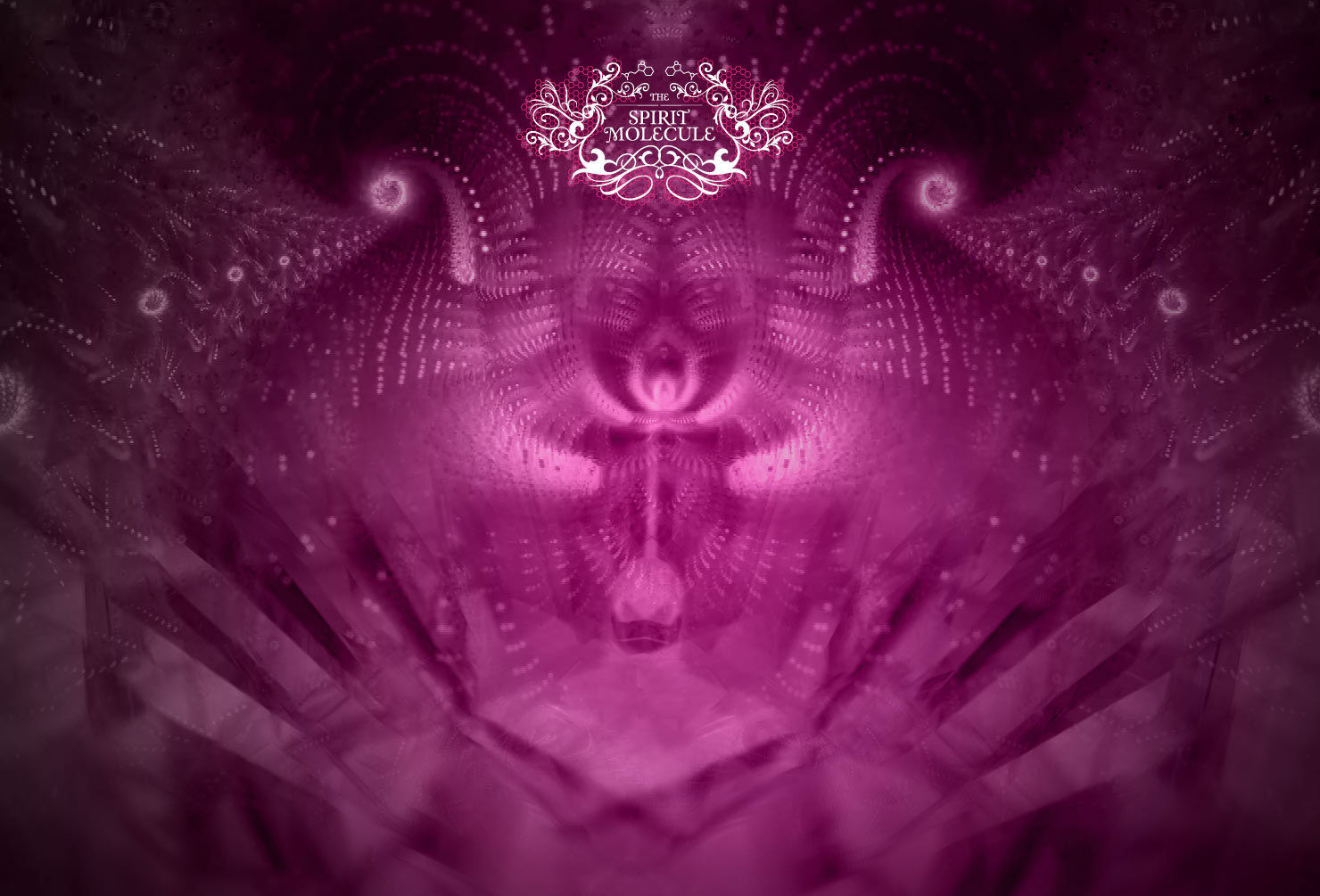 DMT