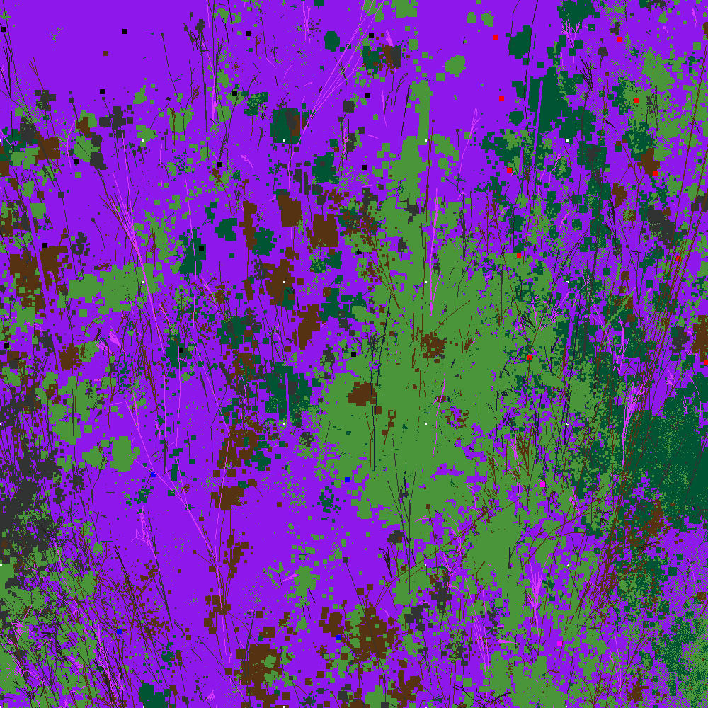 Infinite Garden: 21816 Flowers