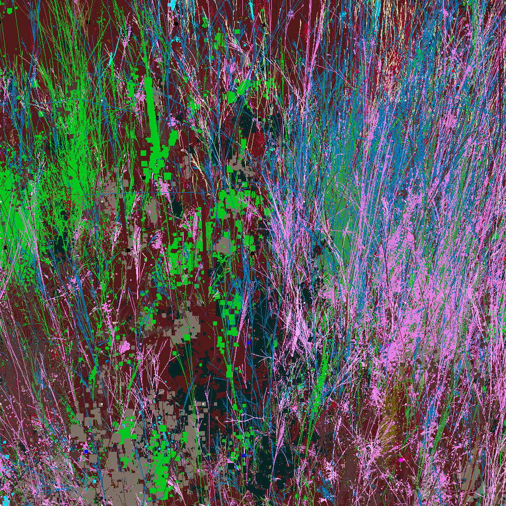 Infinite Garden: 70487 Flowers