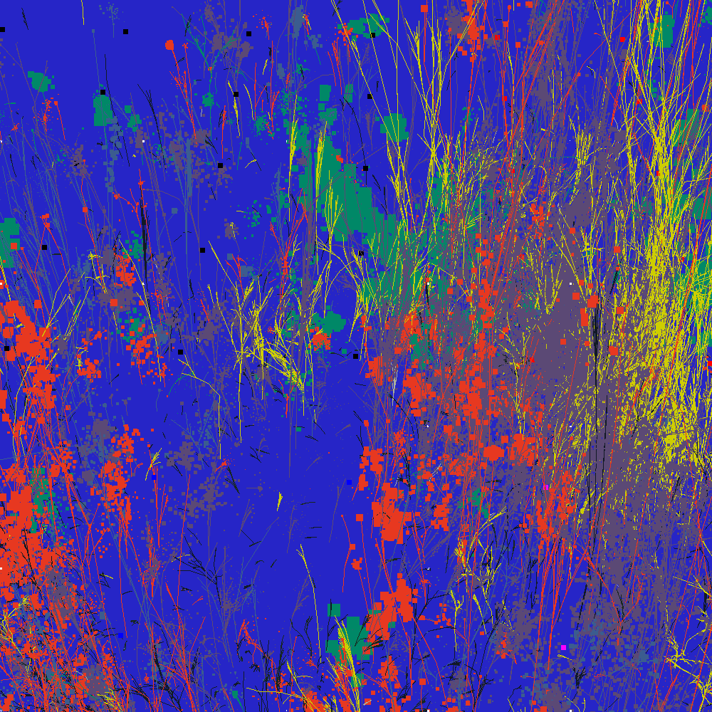 Infinite Garden: 15159 Flowers