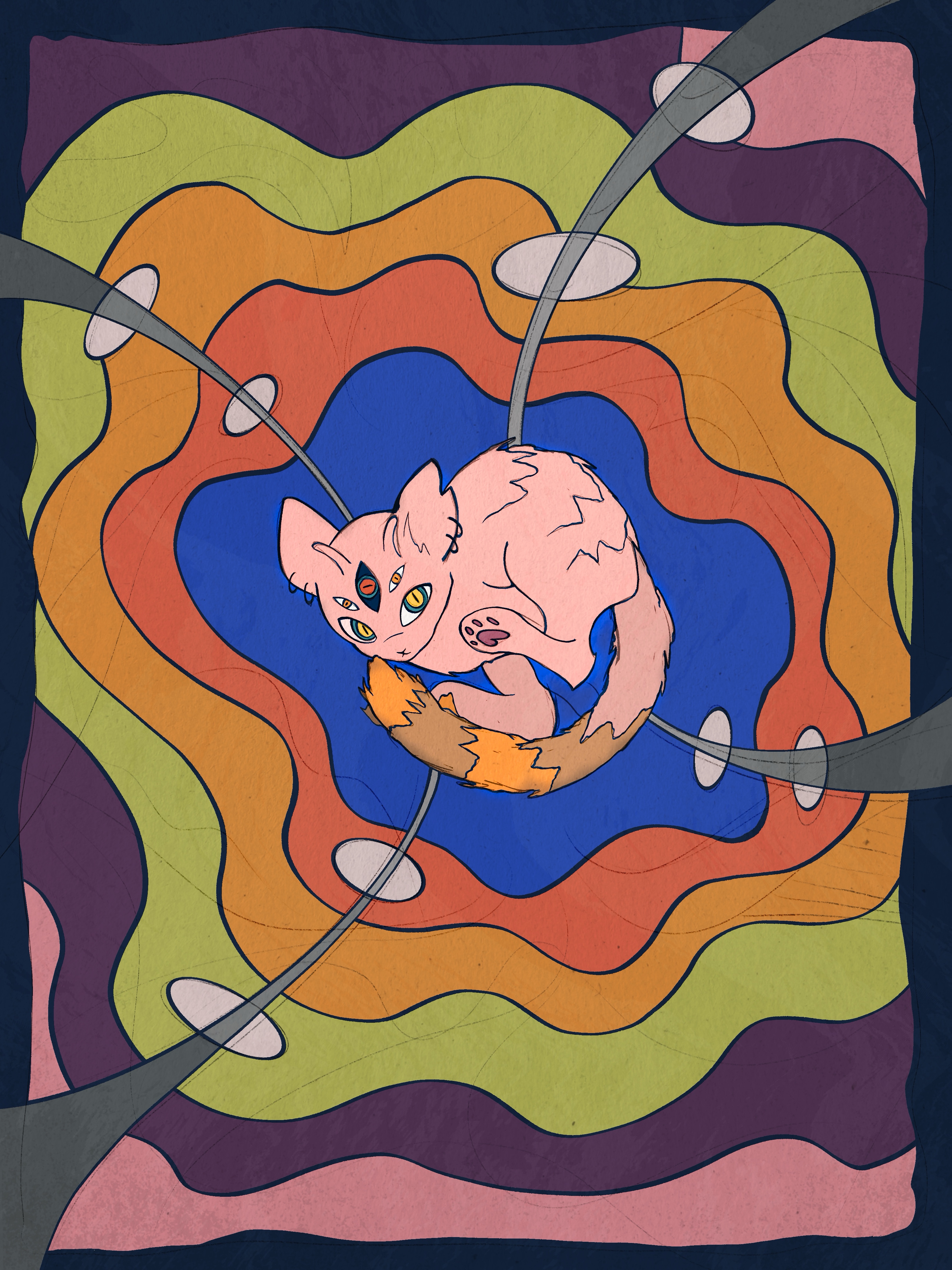 Shapets 1st Anniversary