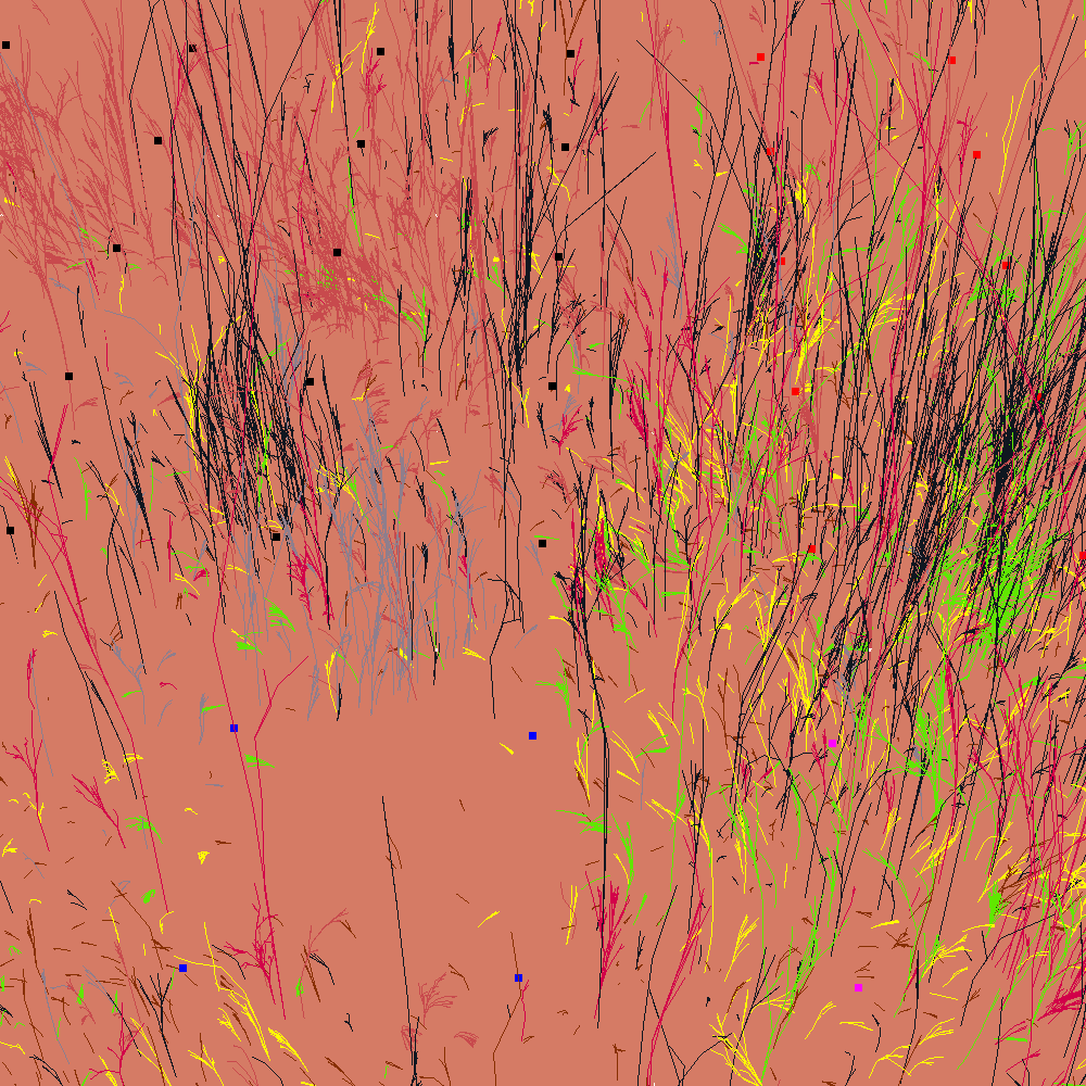 Infinite Garden: 13626 Flowers