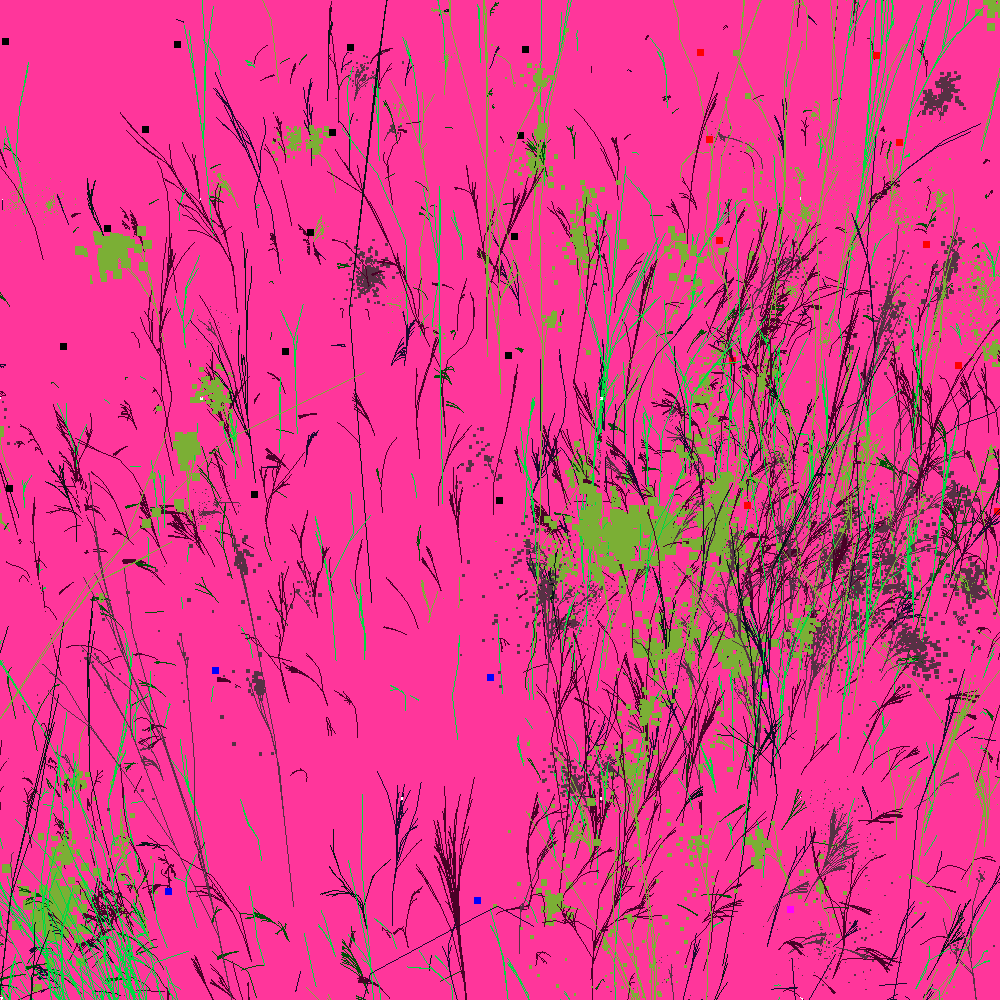 Infinite Garden: 15855 Flowers