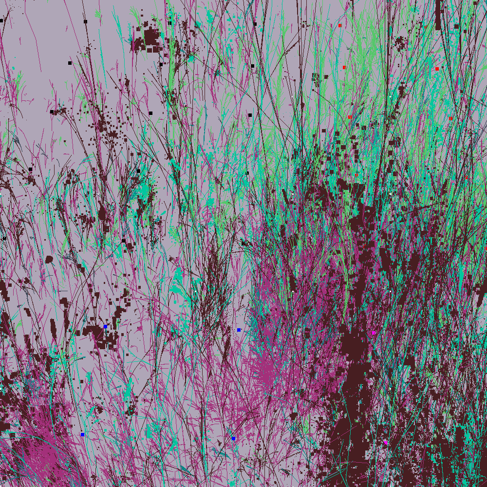Infinite Garden: 35732 Flowers