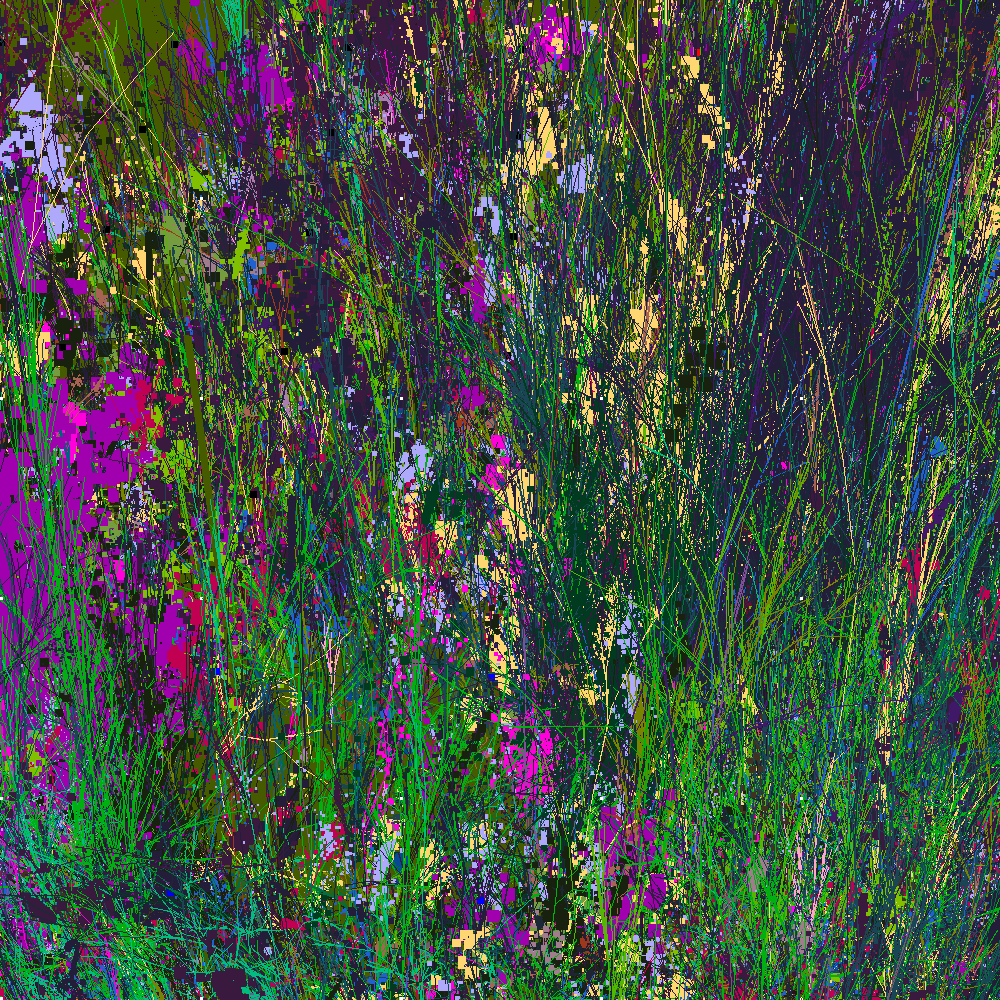 Infinite Garden: 202498 Flowers