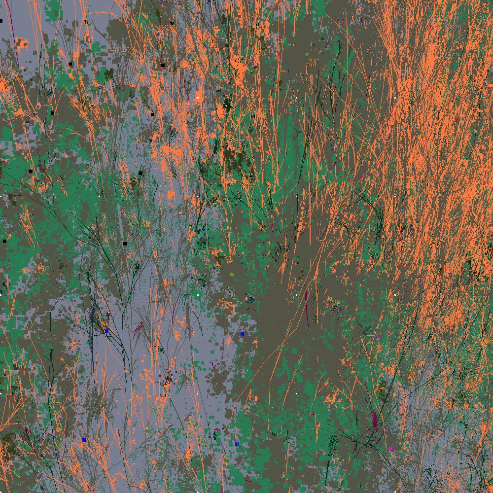 Infinite Garden: 81396 Flowers