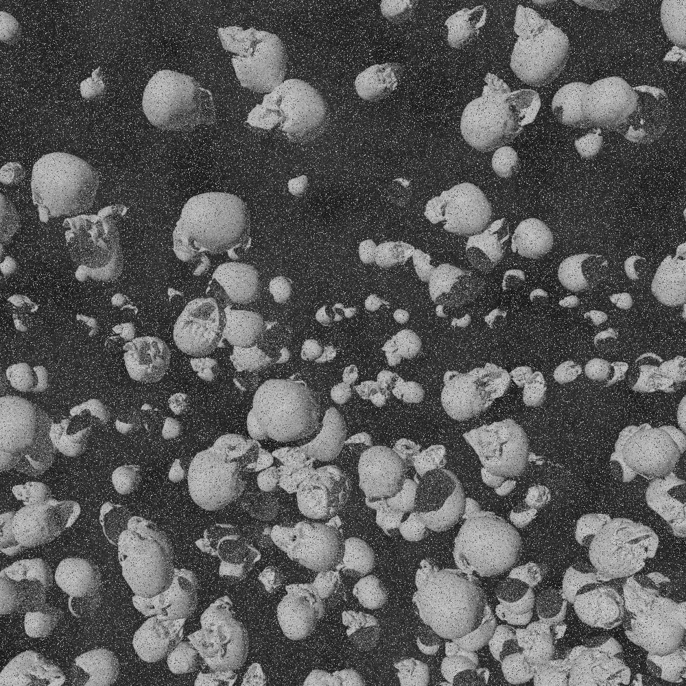 <10/10 SWEEP [SKULLNADO]>