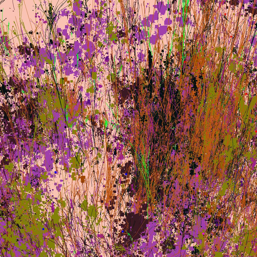 Infinite Garden: 89552 Flowers