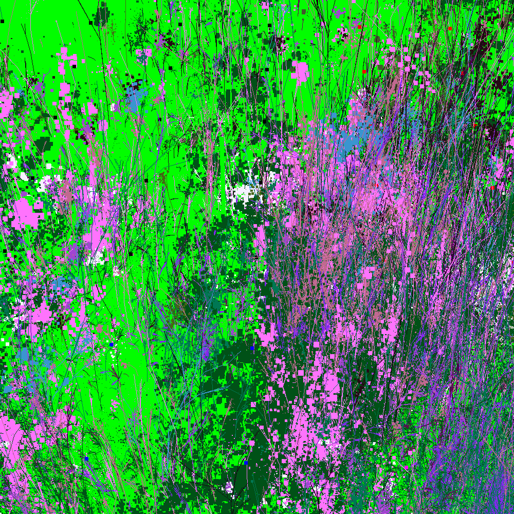 Infinite Garden: 57308 Flowers