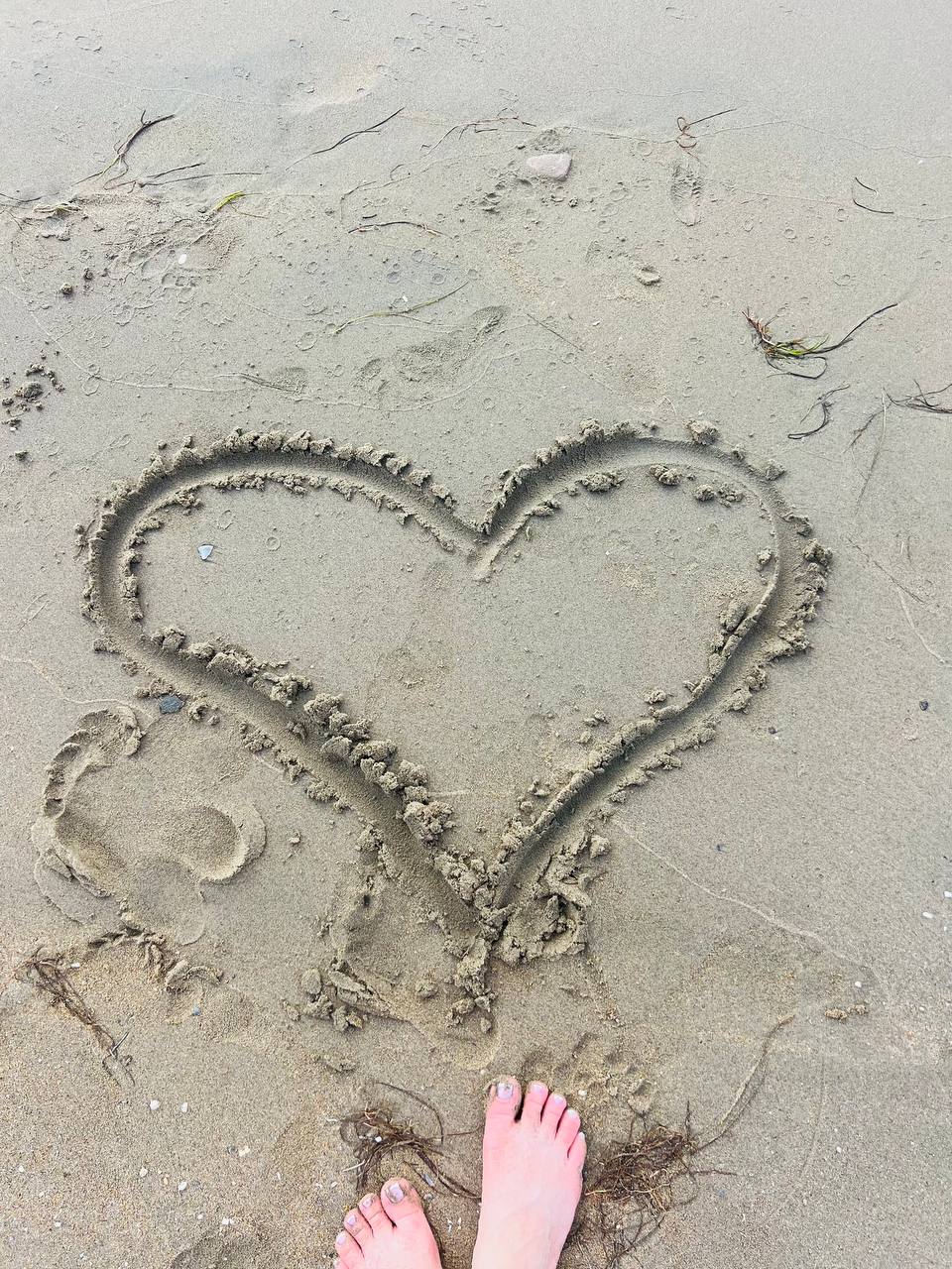 Heart