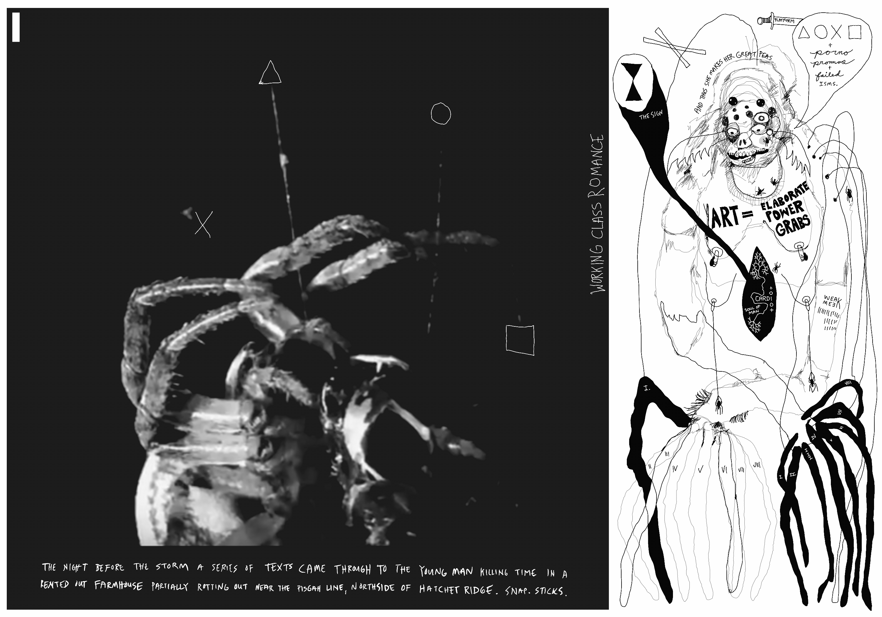 [ 10/2 <WEAVE> (COUNTRY ARACHNOPORN)]