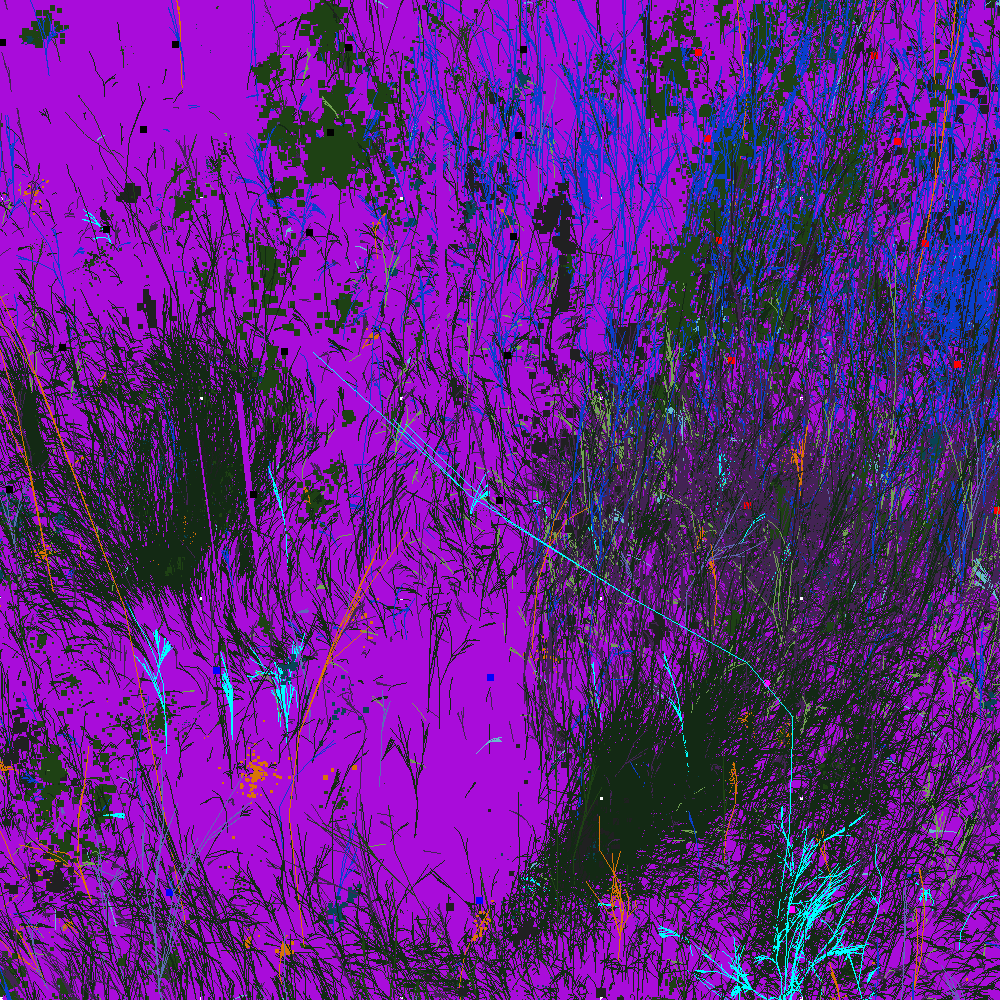 Infinite Garden: 60608 Flowers