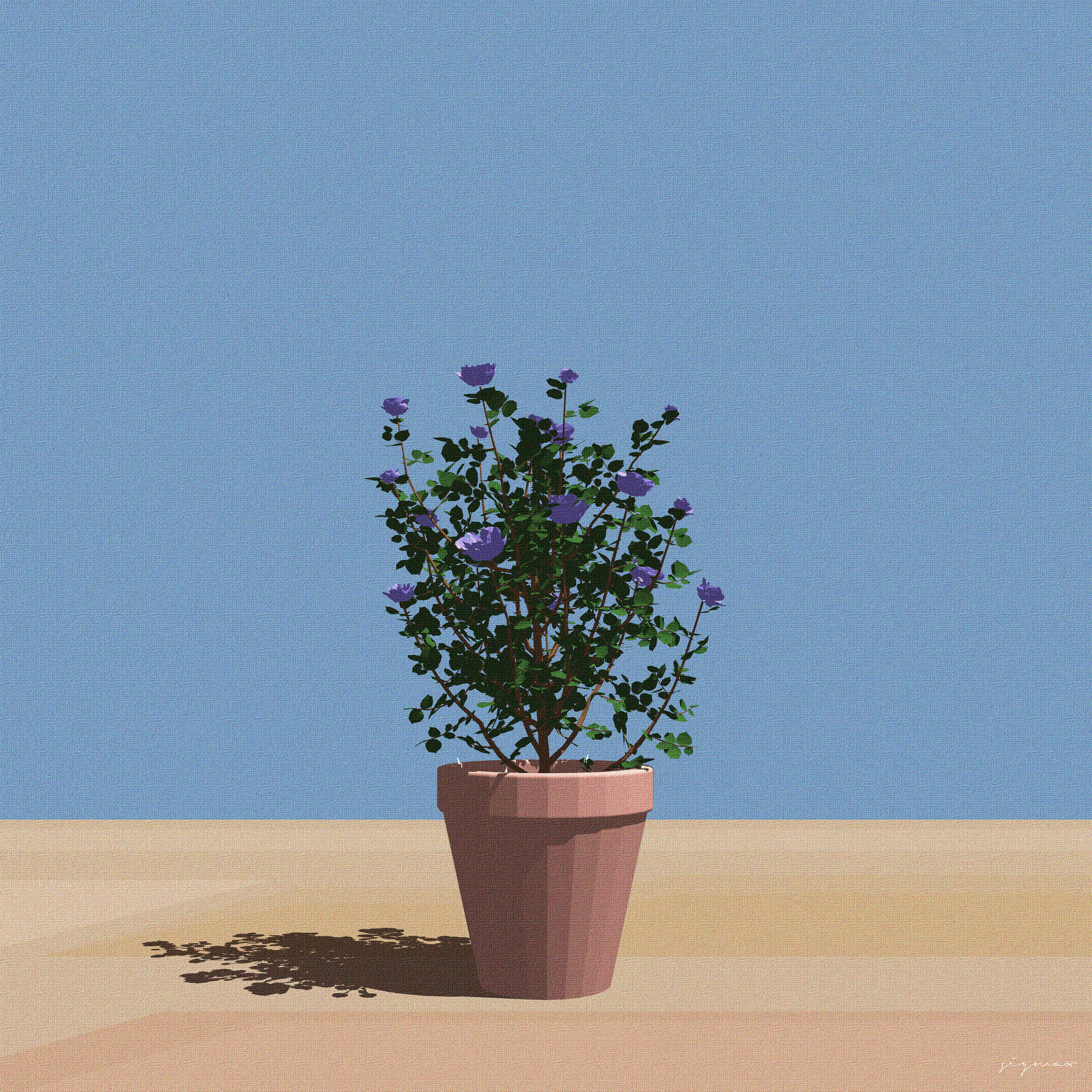 The Purple Flowers