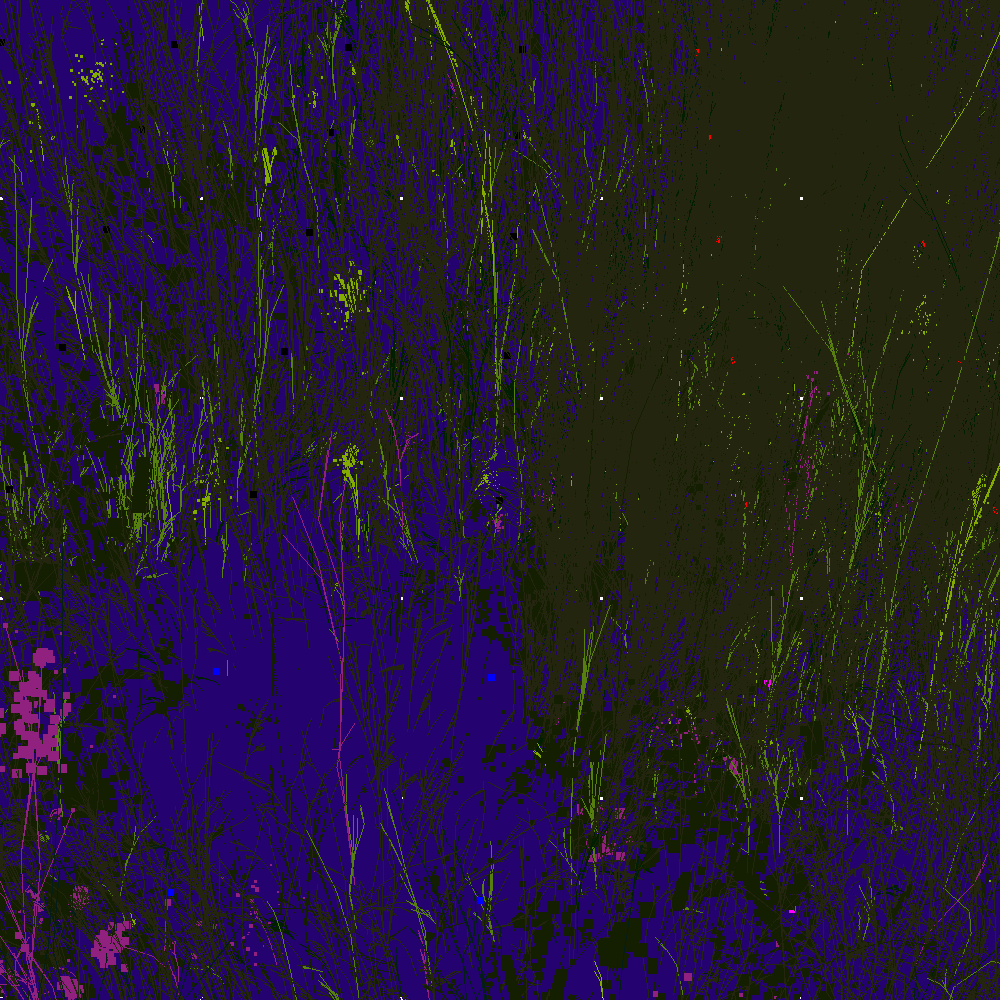 Infinite Garden: 55752 Flowers