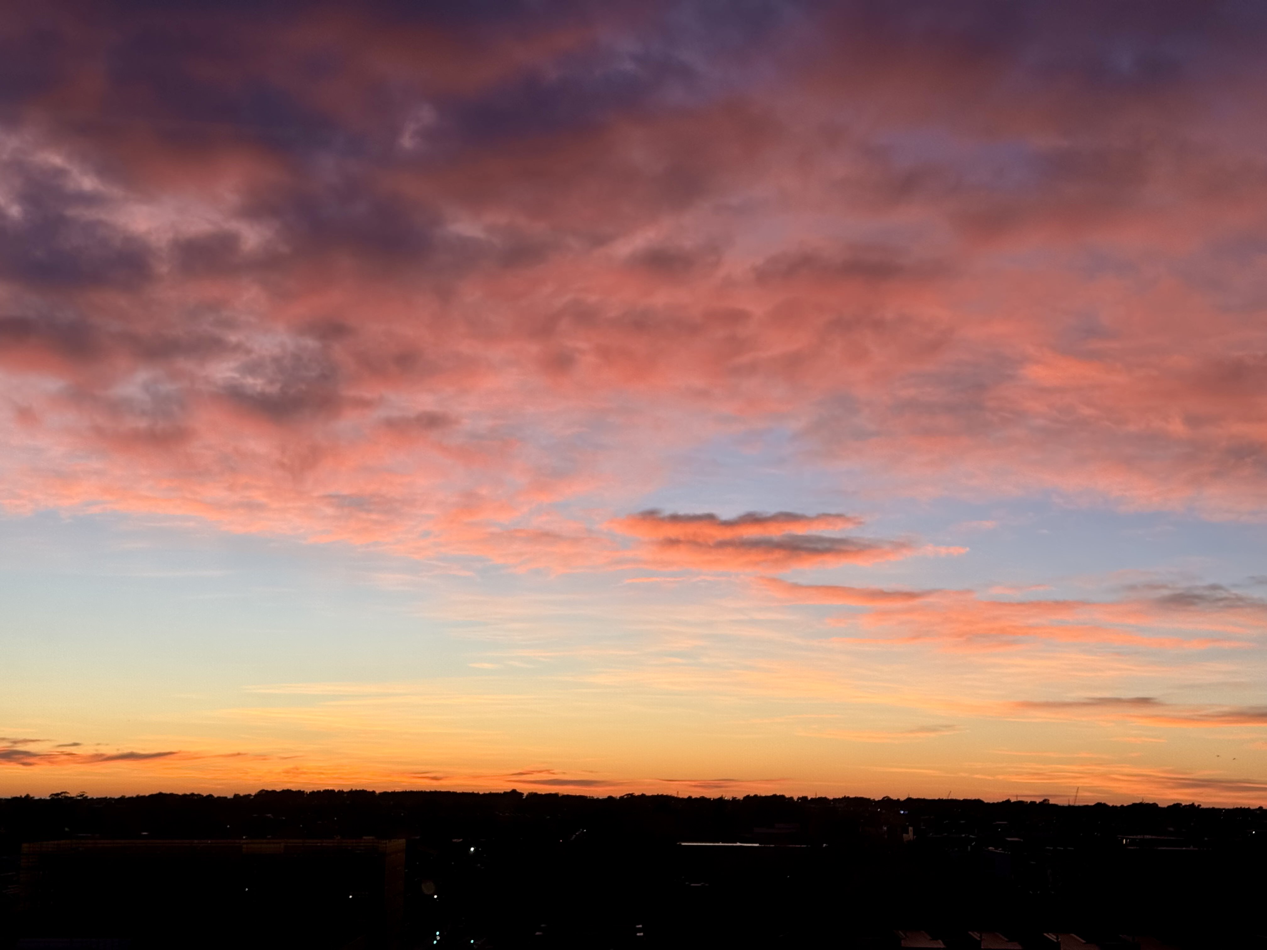 At First Light 