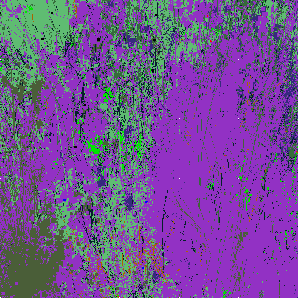 Infinite Garden: 76045 Flowers