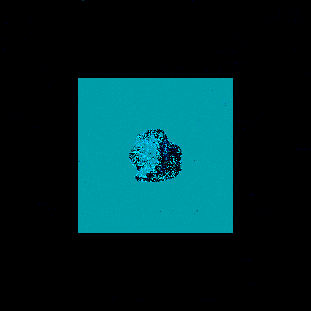 Fragment #224
