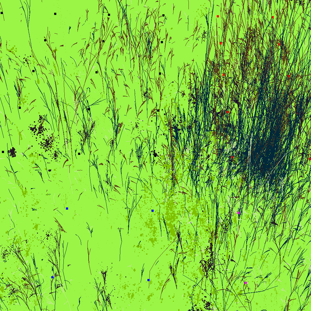 Infinite Garden: 34382 Flowers