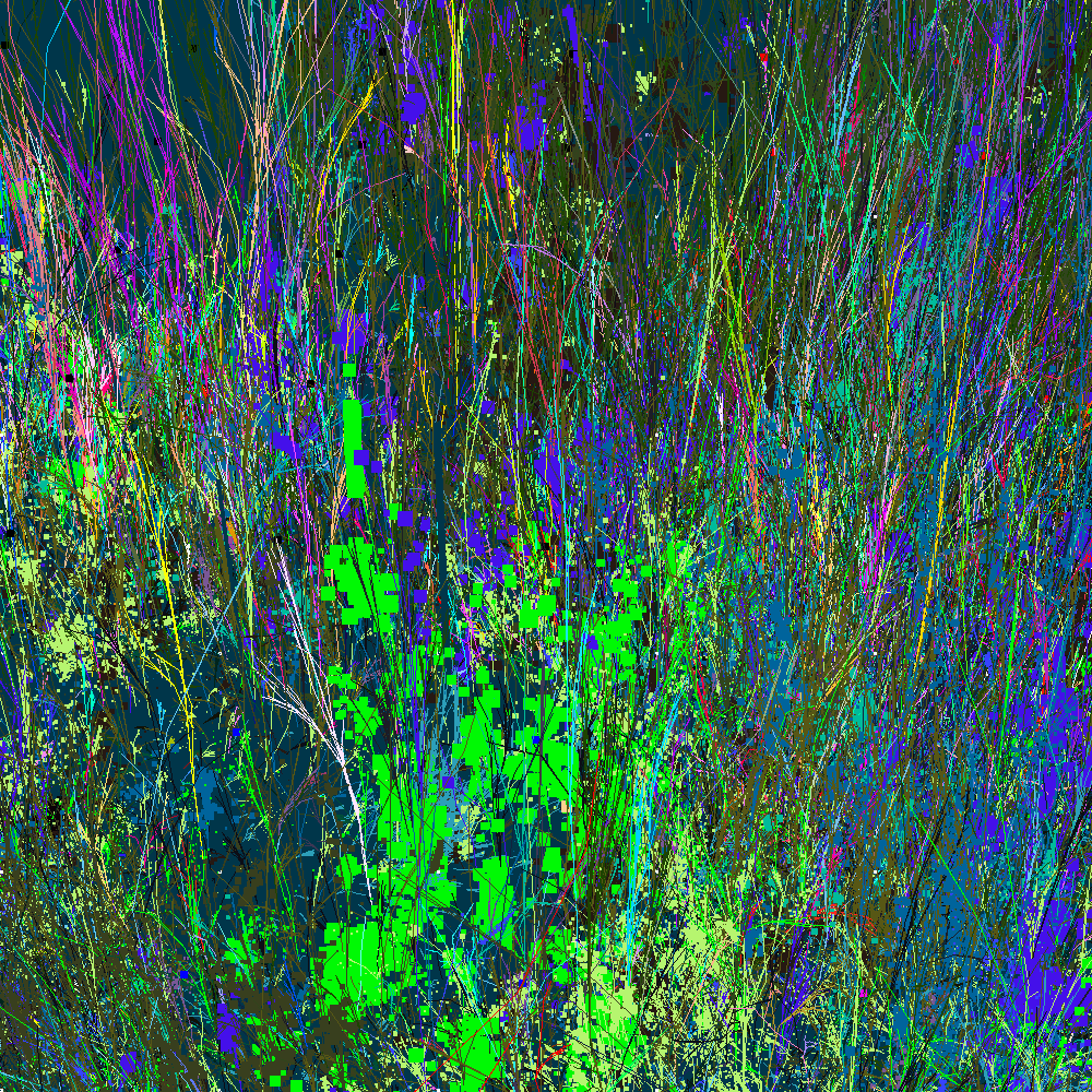 Infinite Garden: 81271 Flowers