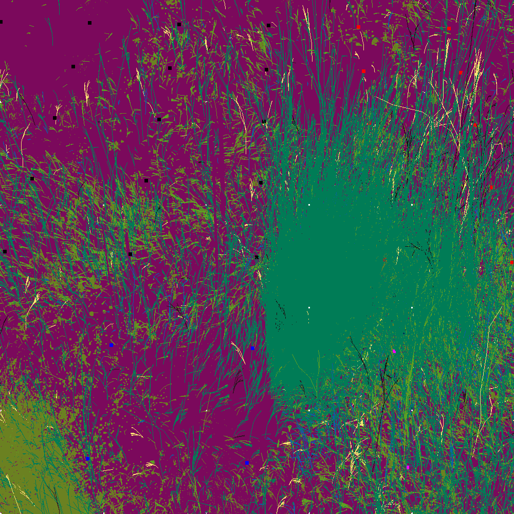 Infinite Garden: 72649 Flowers