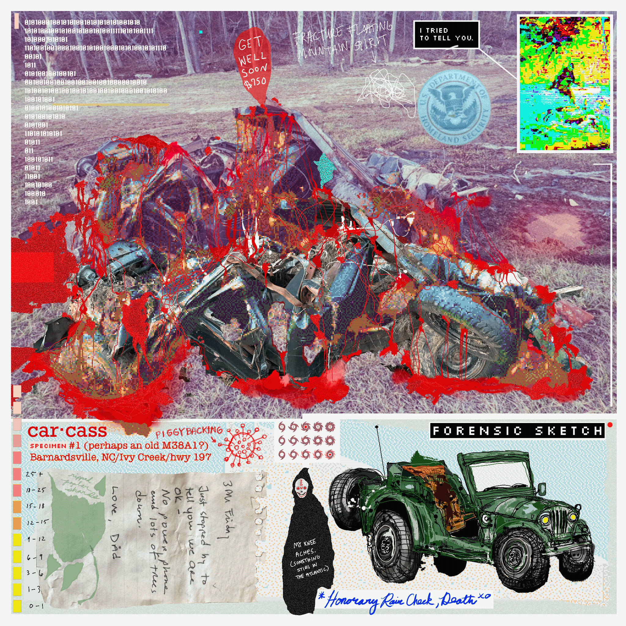 Car·cass: specimen #1 (Hurricane Helene)