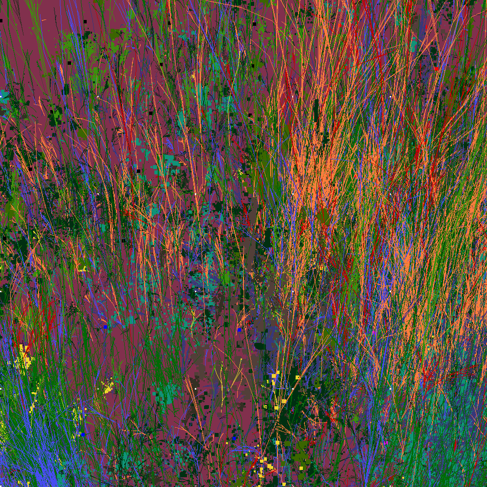 Infinite Garden: 73557 Flowers