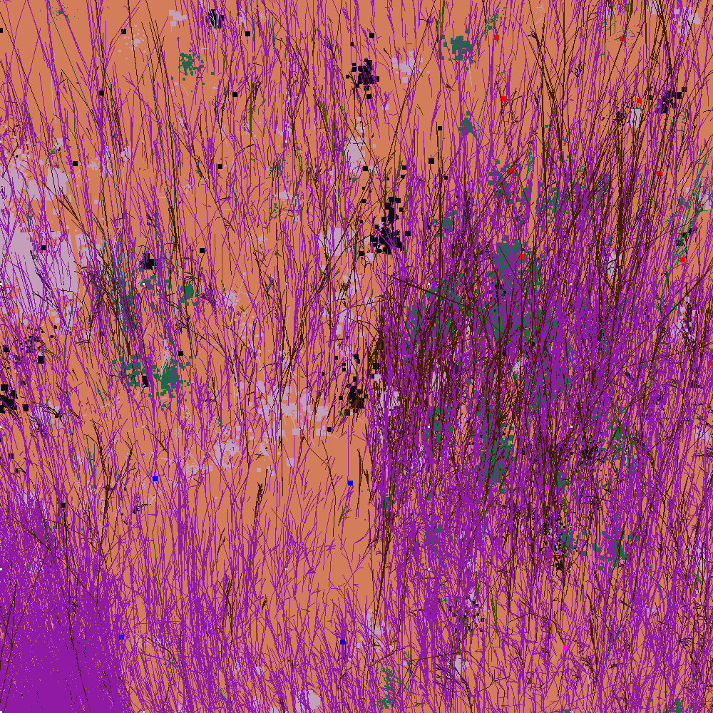 Infinite Garden: 110008 Flowers