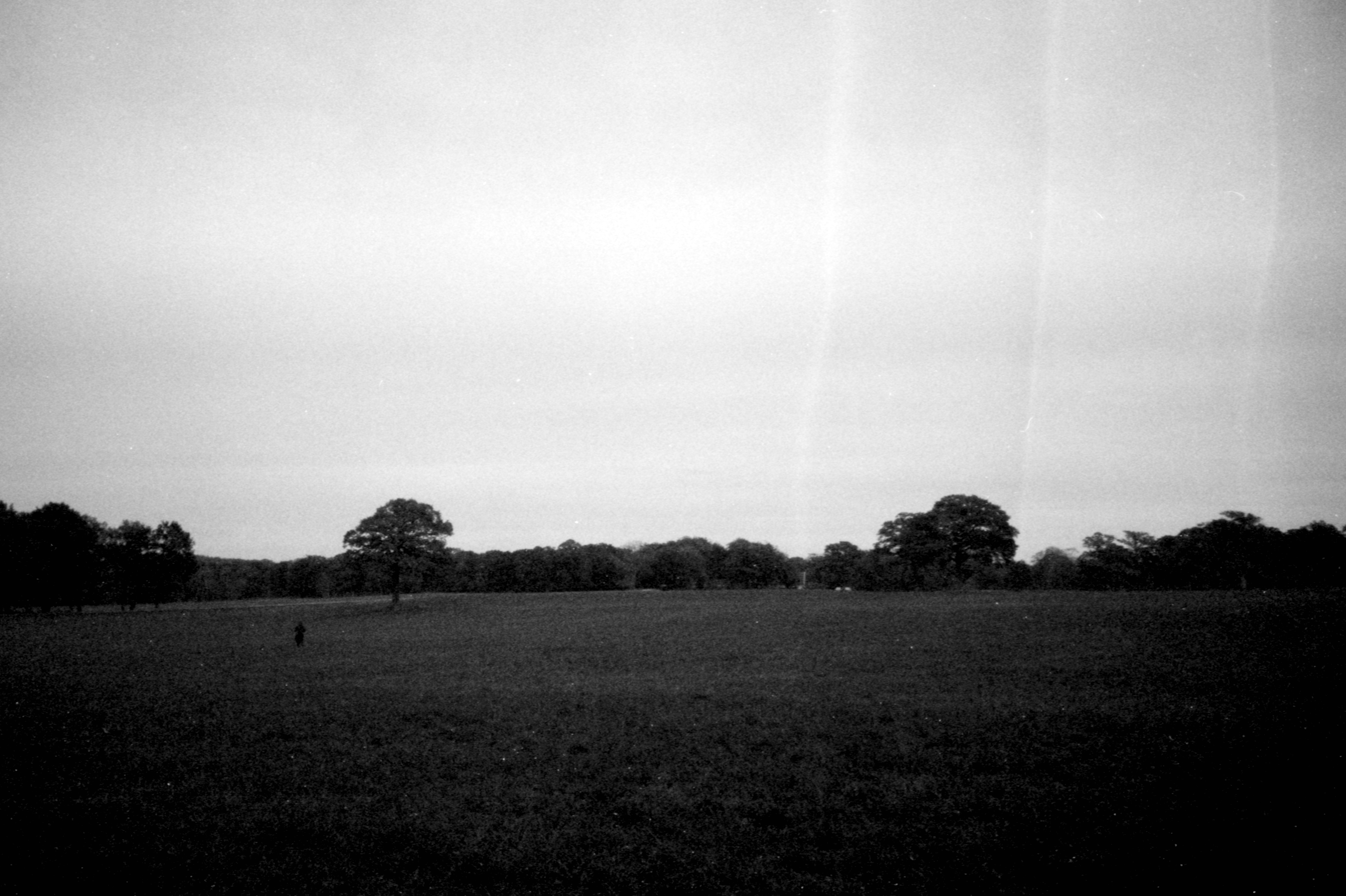 11. i have long walked by your side.