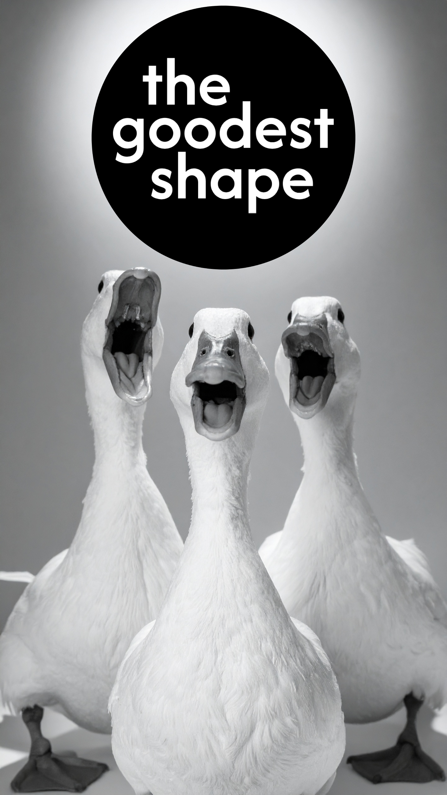 the goodest shape
