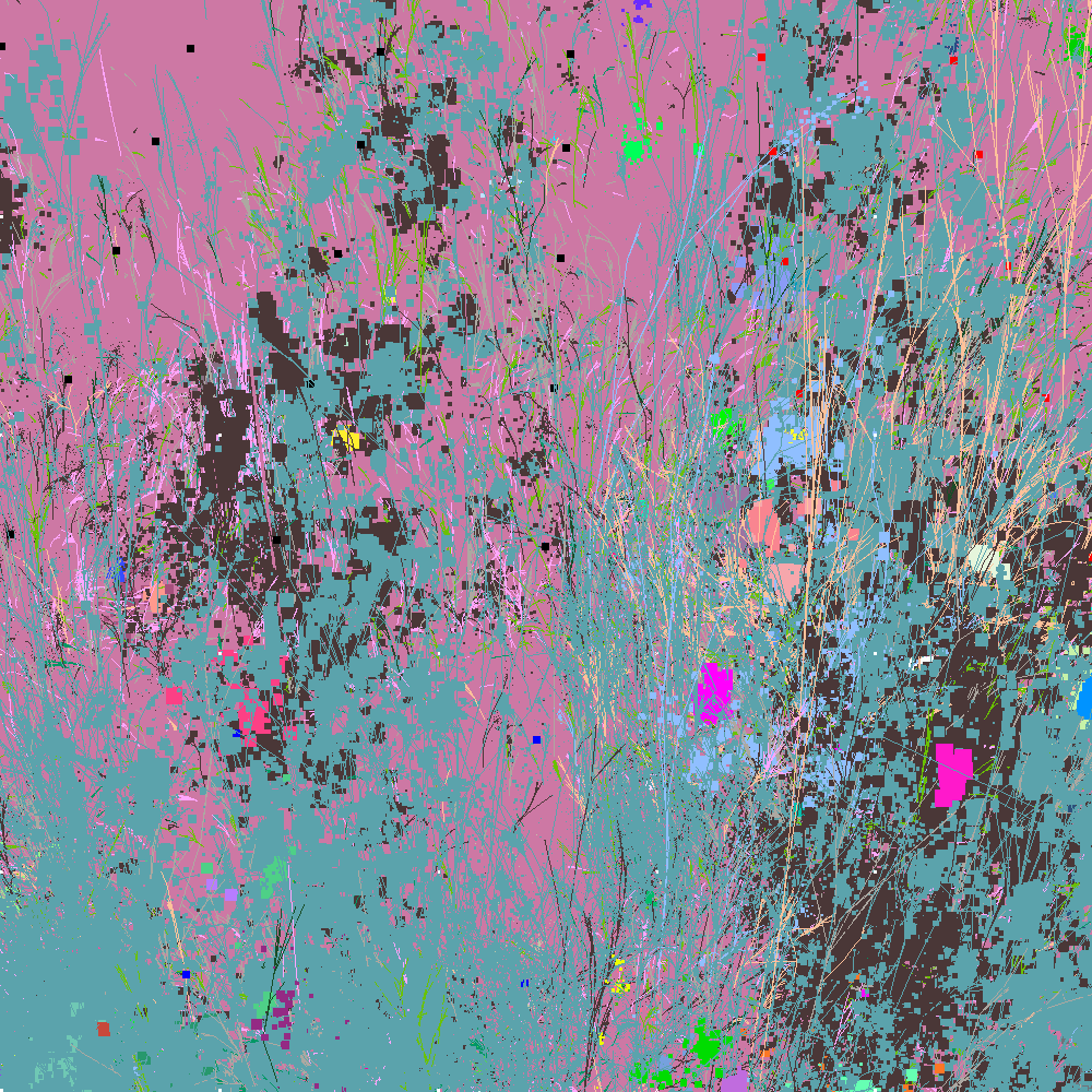 Infinite Garden: 70781 Flowers
