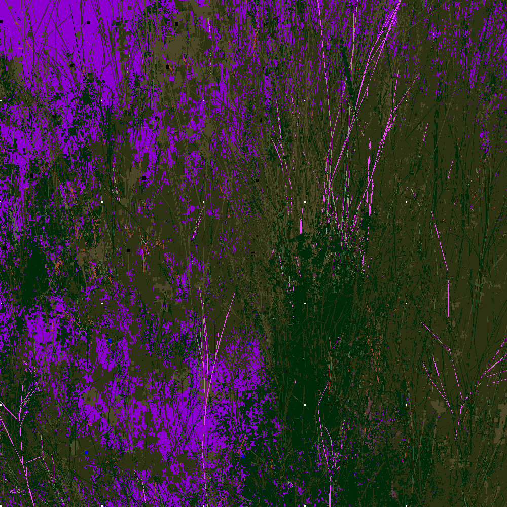 Infinite Garden: 55379 Flowers