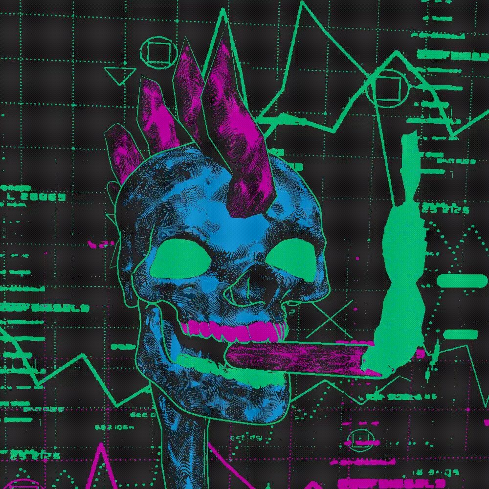 RAREDATA FRAGMENT // SCHIZOFRAGMENT