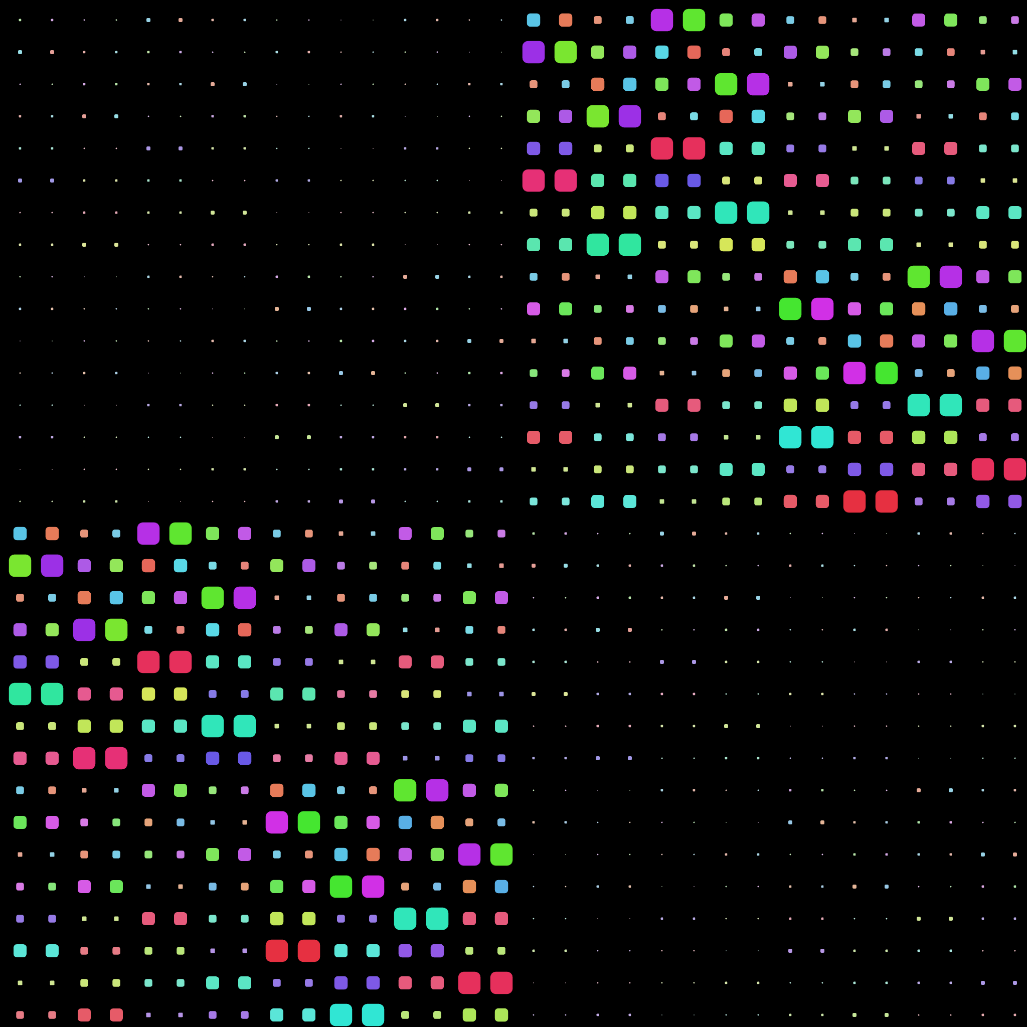 Quantum Tamagotchi #40