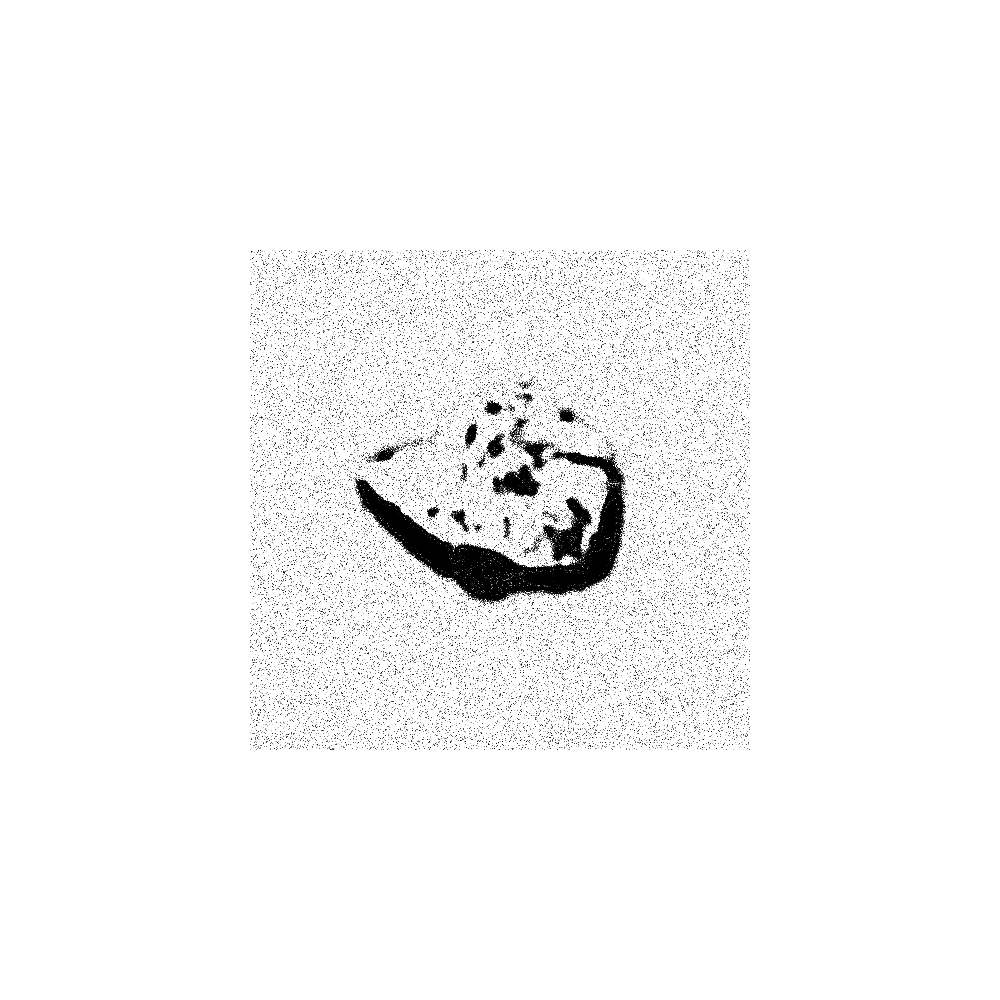 Fragment #116