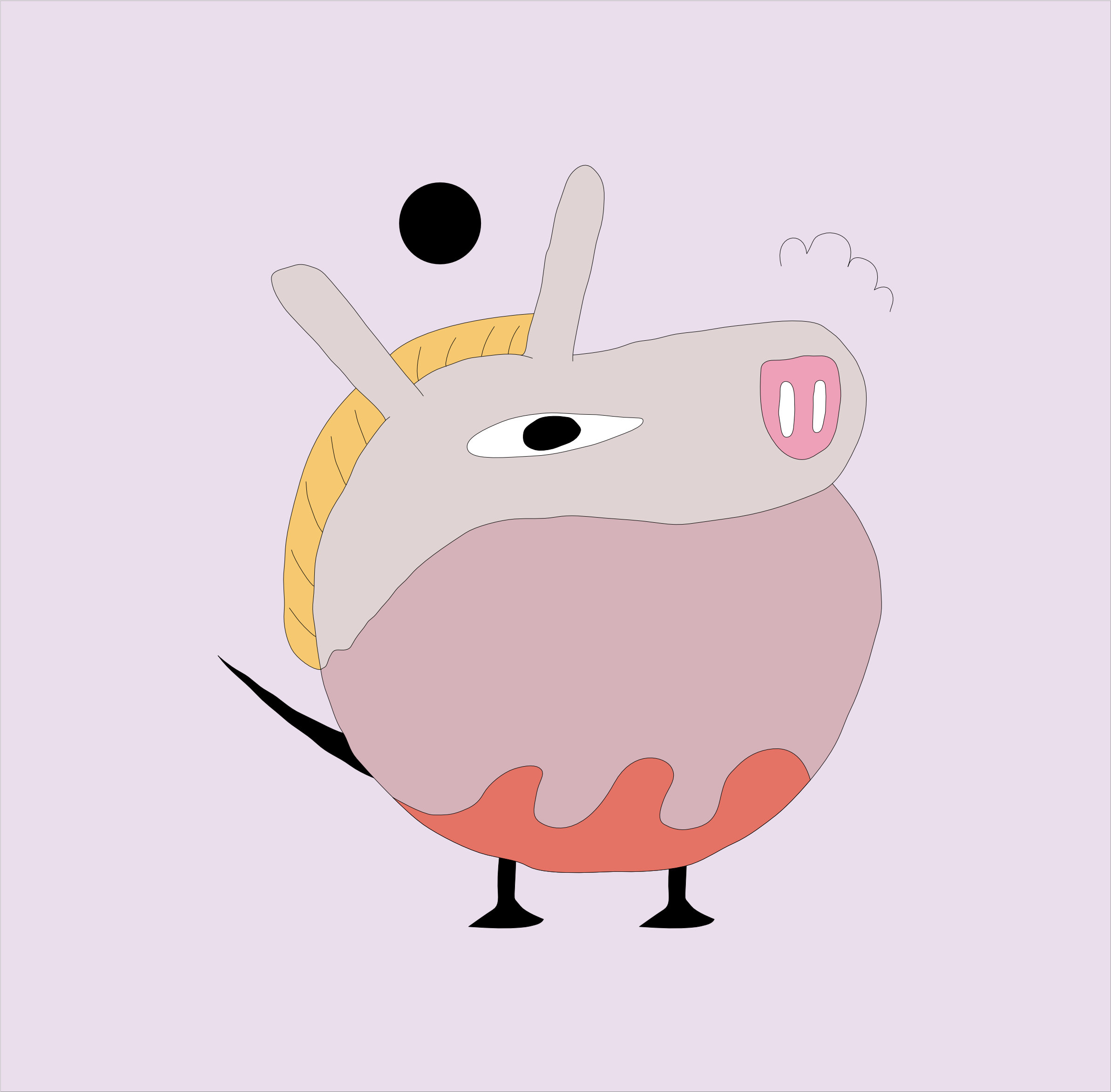 Nupa