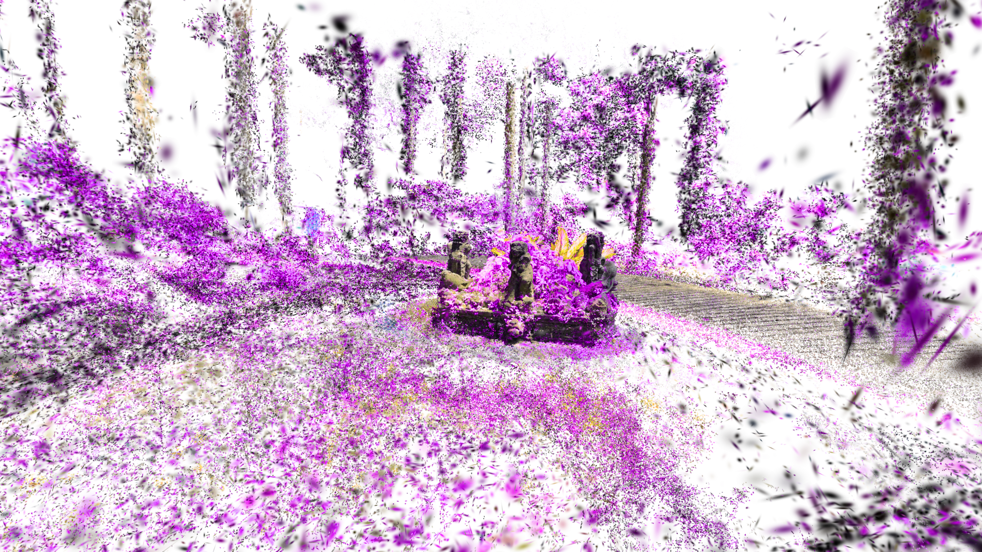 Purple Valley Beringin