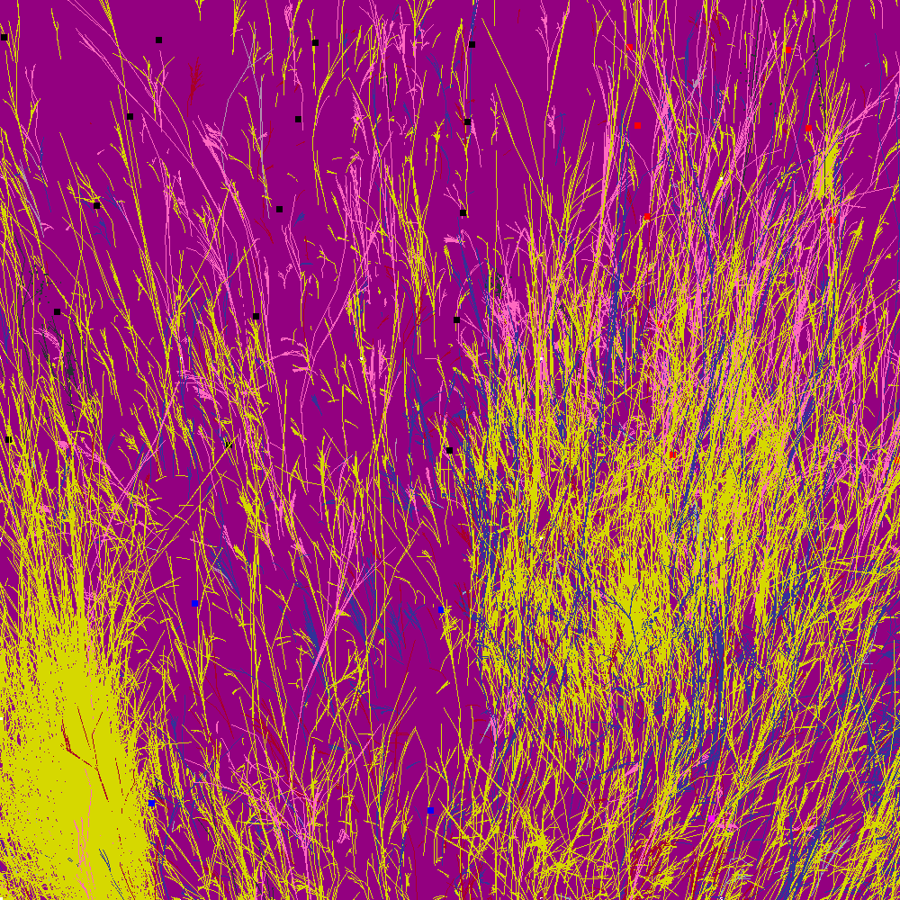 Infinite Garden: 28347 Flowers