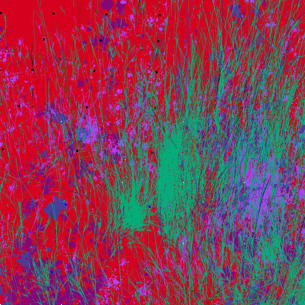 Infinite Garden: 31216 Flowers