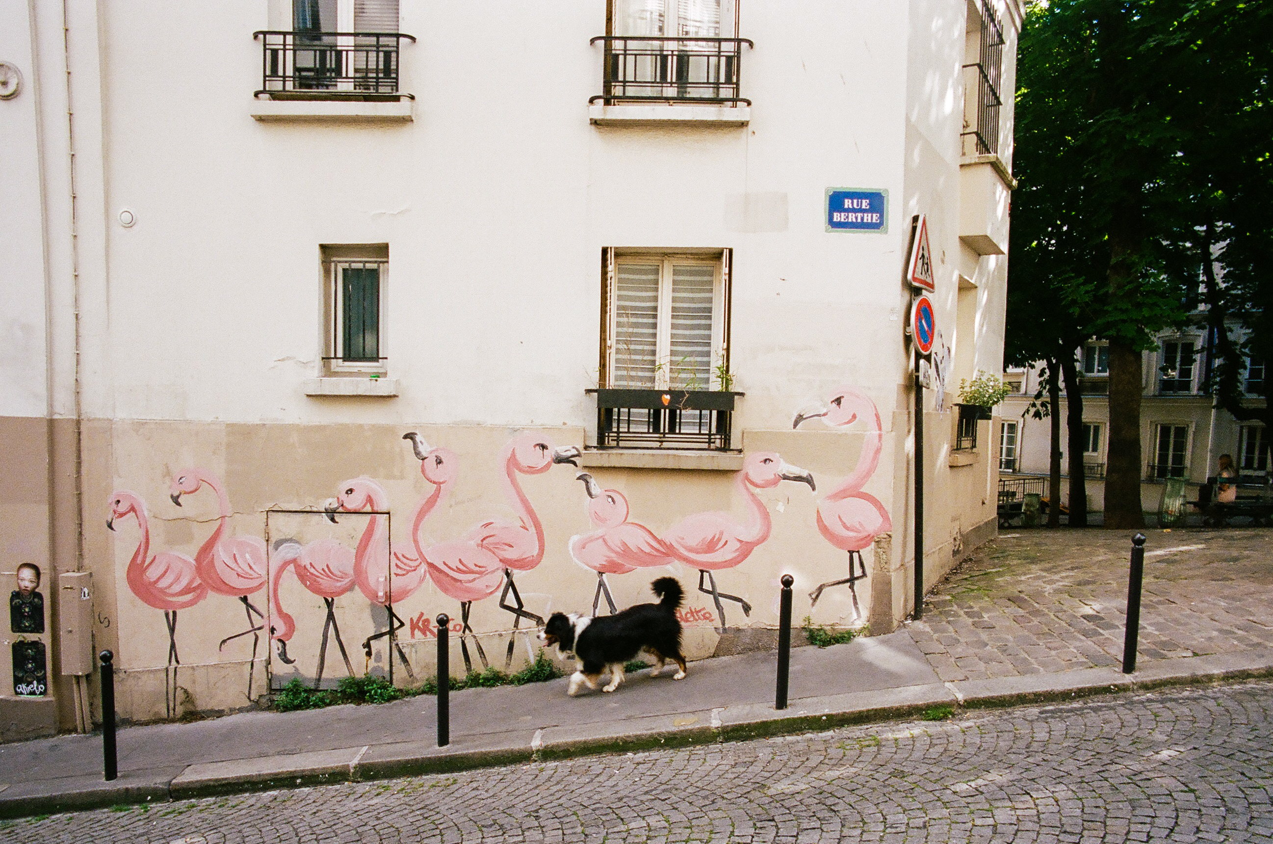Sauvage à Montmartre (Wild in Montmartre)