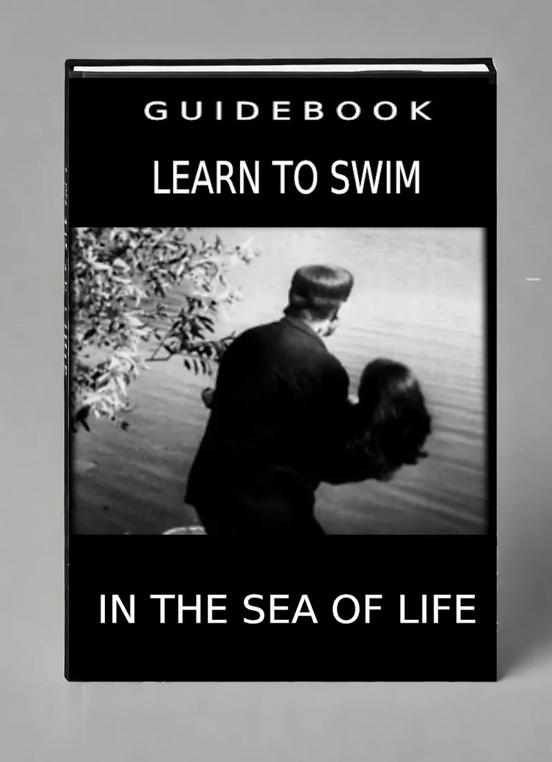 GLITCHTOBER 15/31: "GUIDEBOOK"