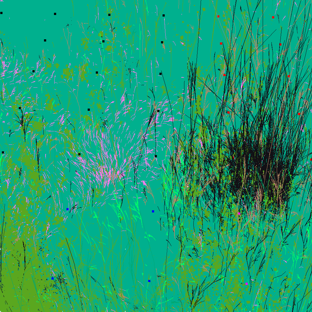 Infinite Garden: 35628 Flowers