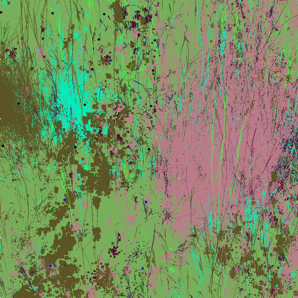 Infinite Garden: 24507 Flowers