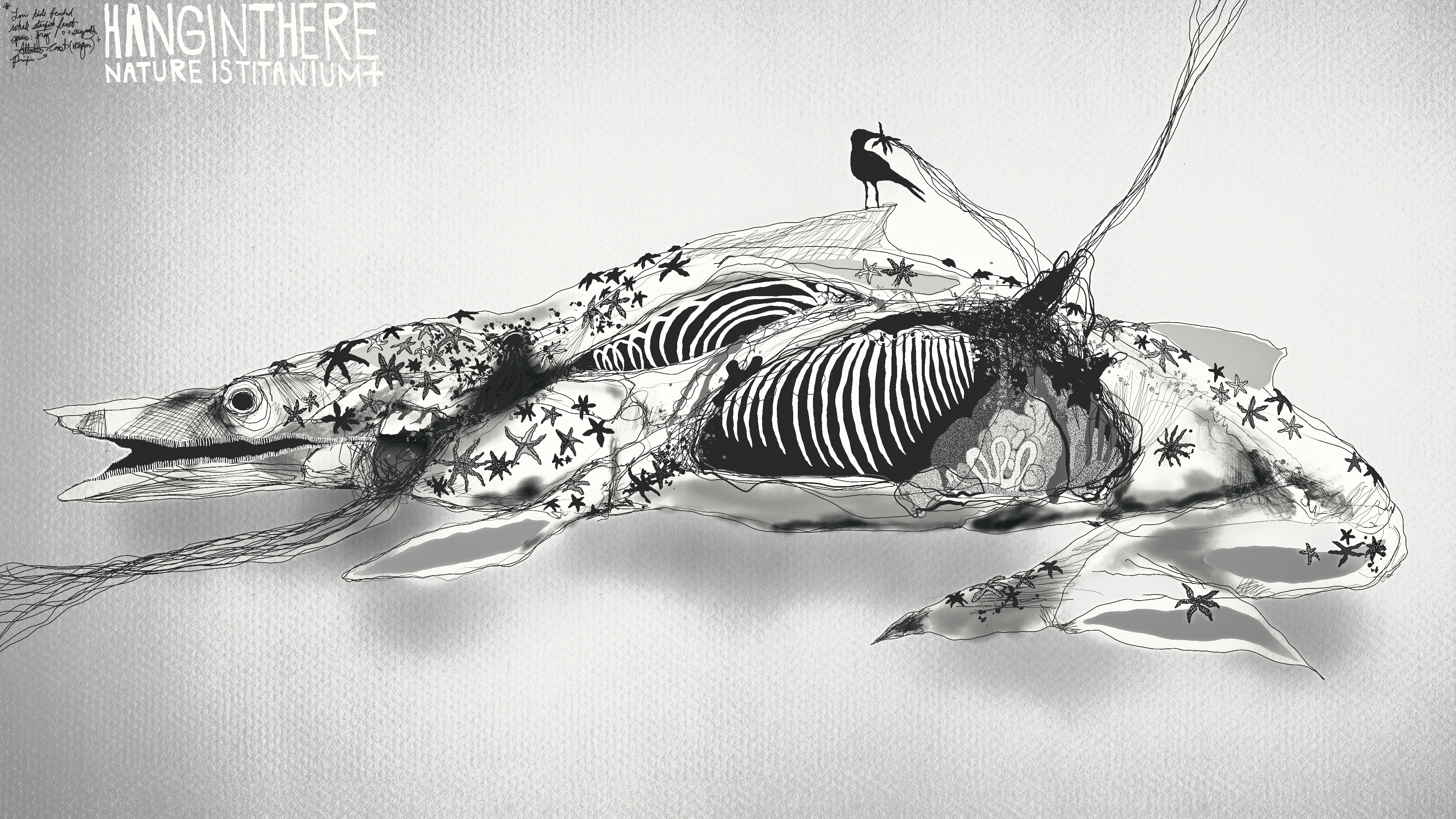 [ 10/7<STARTFISH> (Stellar Low Tide Beached Whale Feast)]