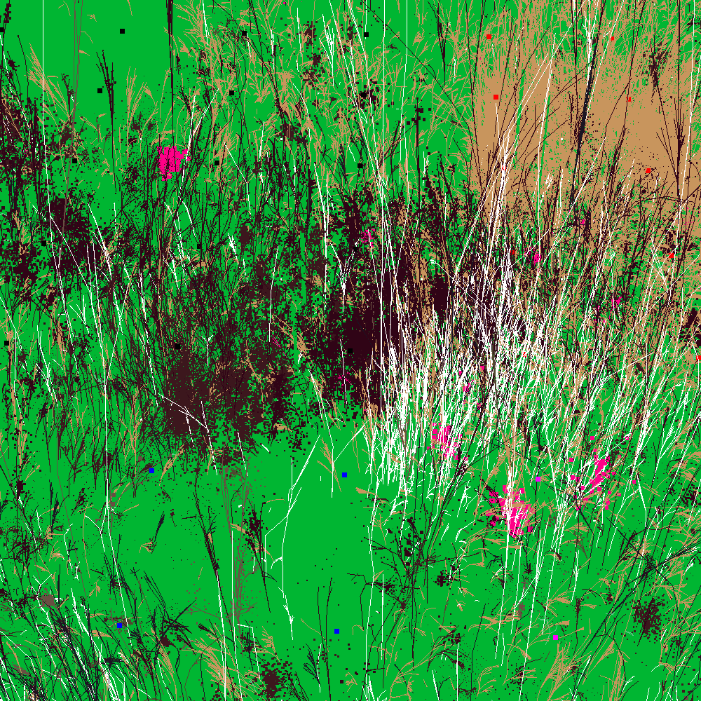 Infinite Garden: 36343 Flowers