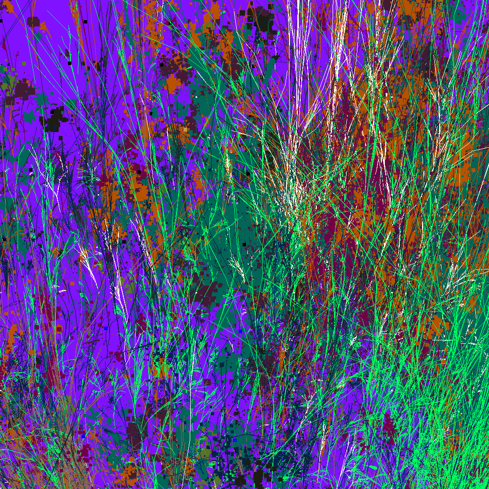 Infinite Garden: 31699 Flowers