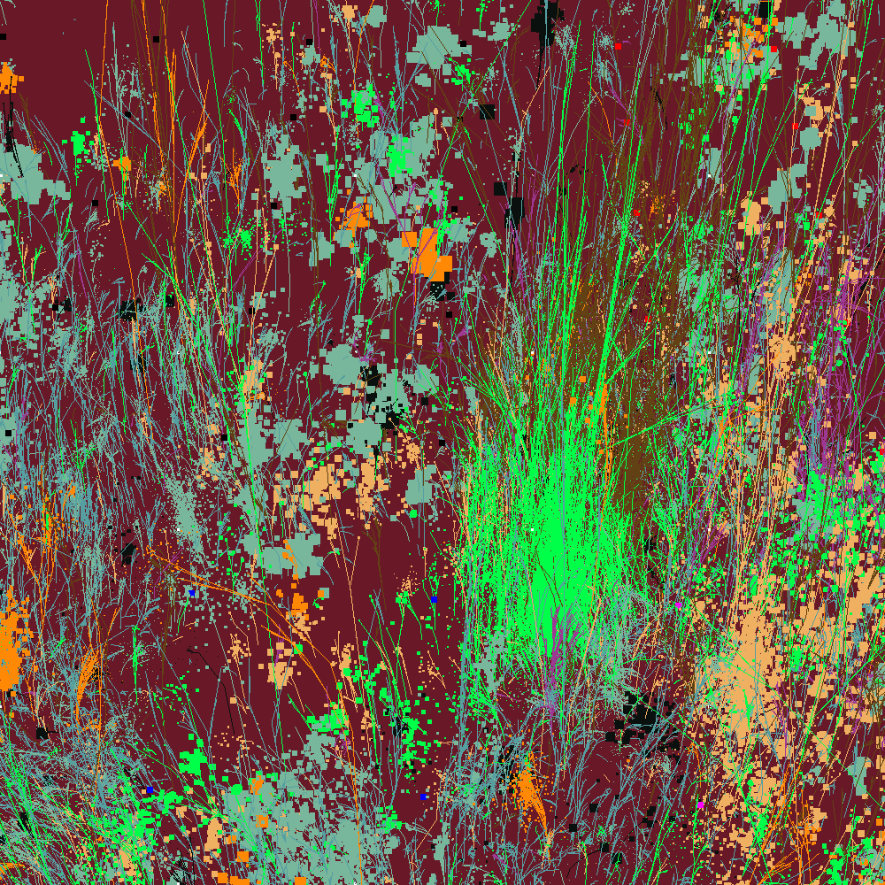 Infinite Garden: 22921 Flowers