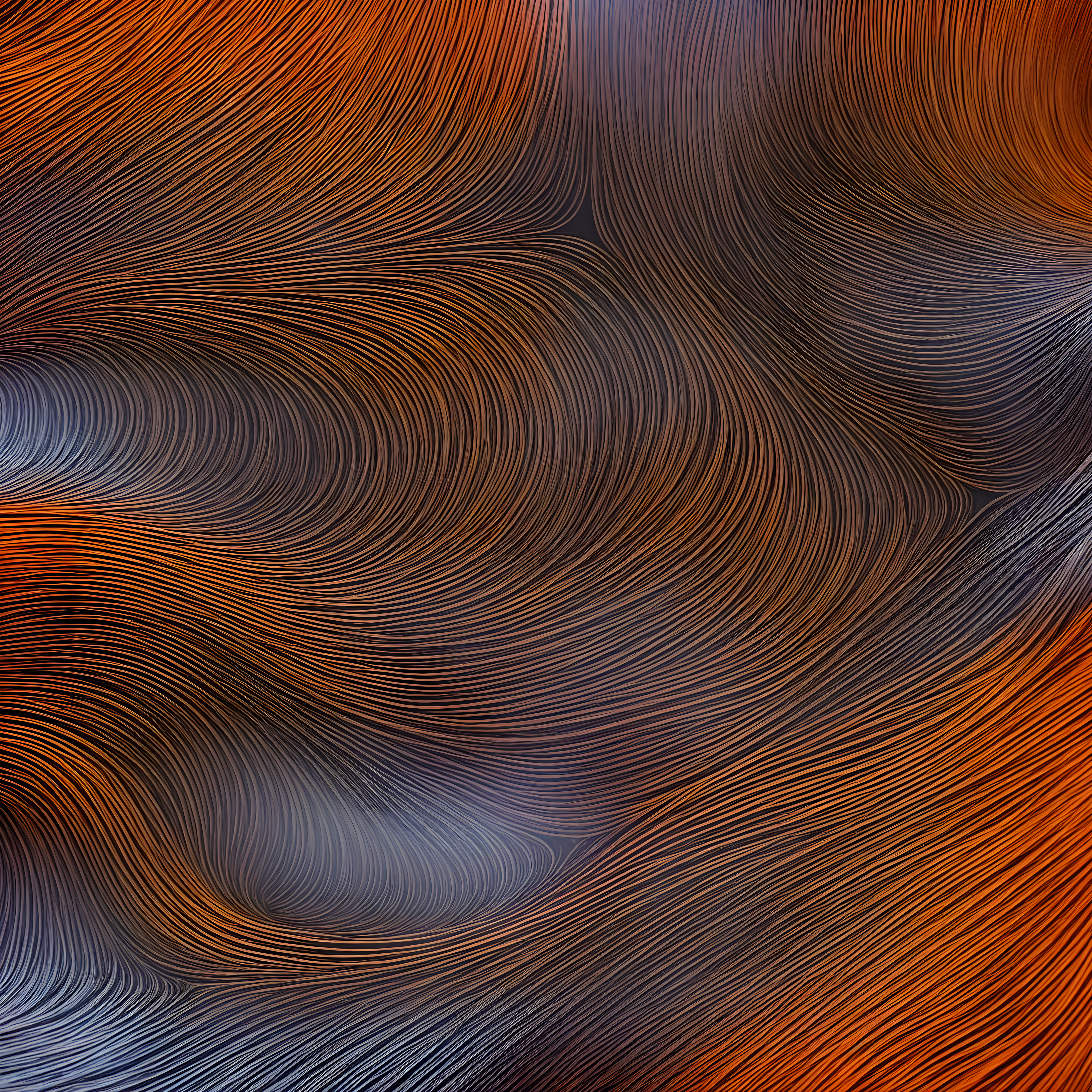 Day 295