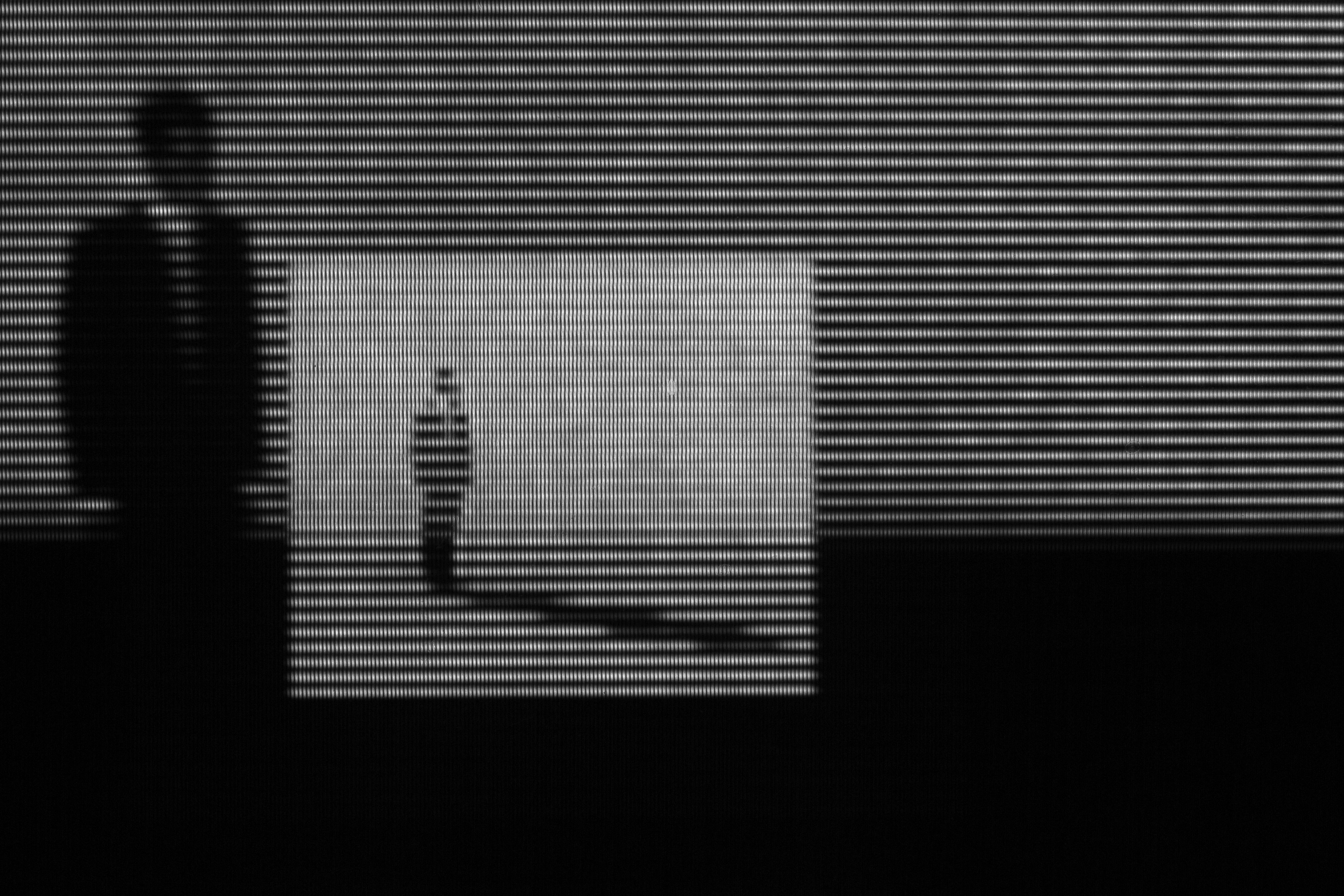 The Shape Inside Any Space II...